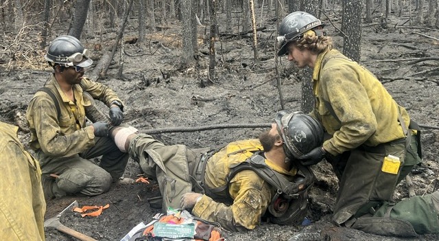 Medic program 2